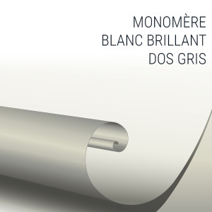 Vinyle Monomère Dos Gris Brillant