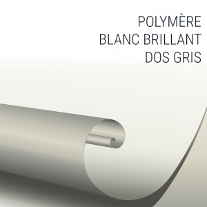 Vinyle Polymère Dos Gris Brillant